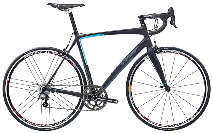 Condor_Baracchi_ 2013