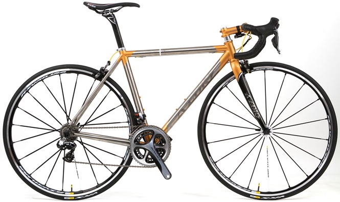 Avedio pegasus 2013_di2eps_gold