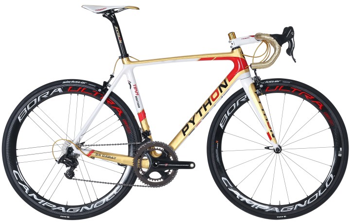 2017-python-c50-gold-edition-campy-super-record